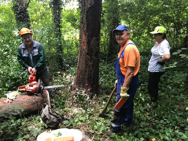 Pridne roke v avgustu