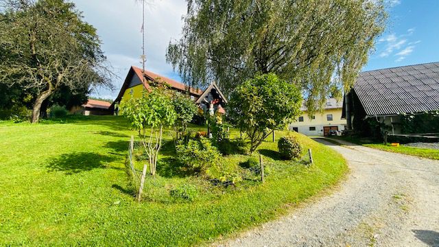 5.10.2019 – Maša pri Ternikovih